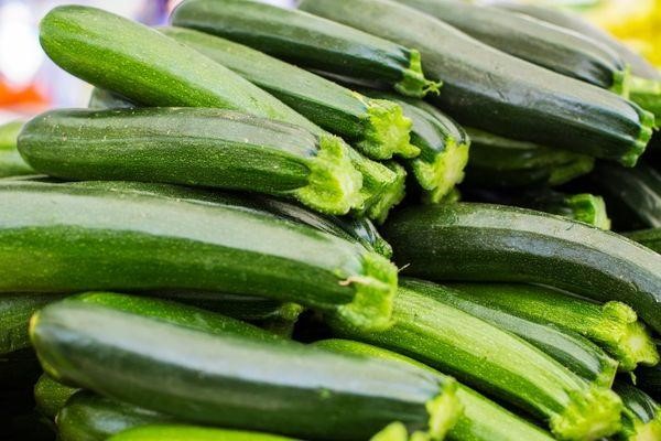 Can Guinea Pigs Eat Zucchini 2